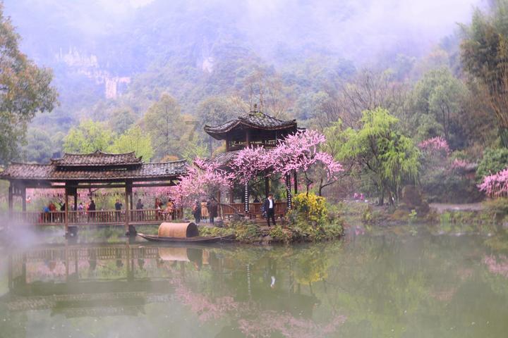 什么鱼做的生鱼片最好吃啊游戏画面