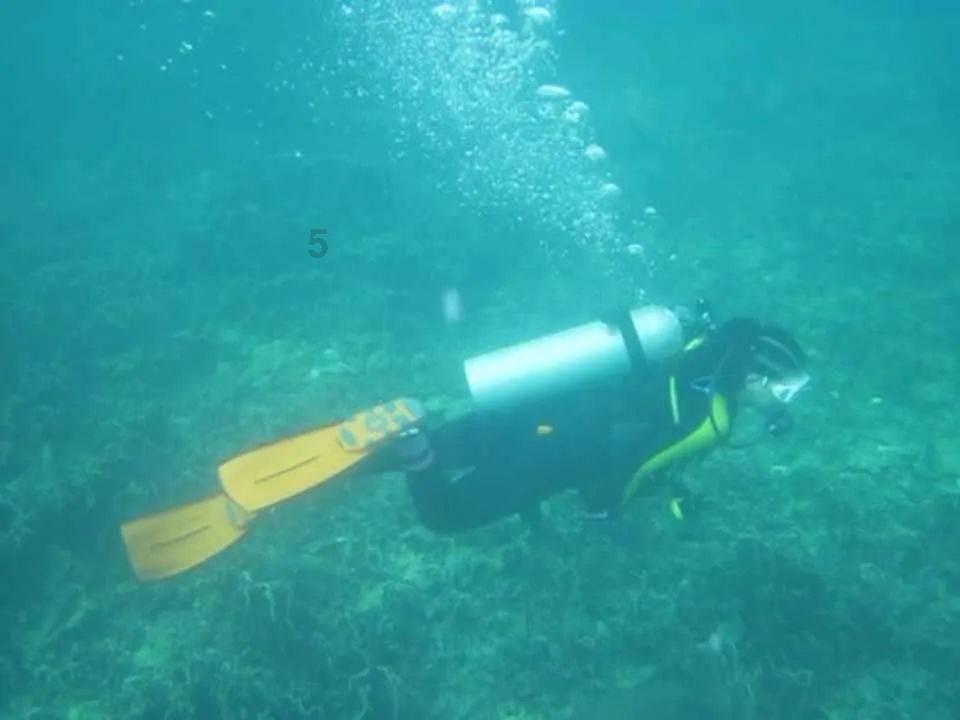 巧变同色