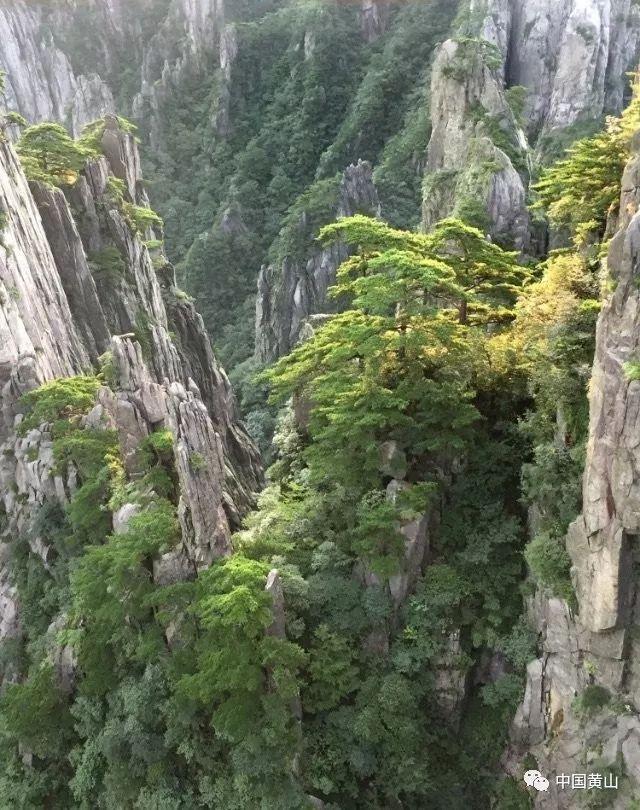 艾迪芬奇的记忆